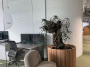 Prestigevoller Büroraum von 1705 m2 zu vermieten Wien,...