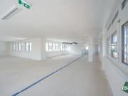 Prestigevoller Büroraum von 222 m2 zu vermieten...