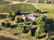 Maison de luxe 5 chambres en vente à Langon, Nouvelle...