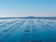 Prestigieuse Maison en vente Montpellier, Occitanie