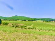 Prestigieuse Maison en vente Vire sur Lot, France