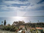 Prestigieux appartement Jardin et échappée mer – Cannes
