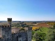 Prestigieux château de 1029 m2 en vente Uzès, France