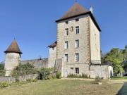 Prestigieux château en vente Brégnier Cordon, Auvergne...
