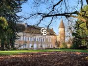 Prestigieux château en vente Vérizet Fleurville, France