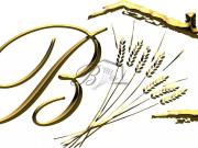 Prestigieux immeuble de rapport en vente à Beaumont de...