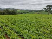 Prestigiosa casa à venda Itapetininga, São Paulo