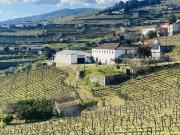 Prestigiosa casa de 1020 m² à venda Fontelas, Portugal