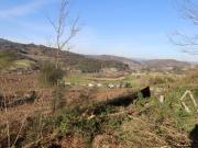 Prestigiosa casa de 120000 m² à venda Felgueiras, Portugal