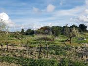 Prestigiosa casa de 260 m² à venda Aldeia da Justa,...