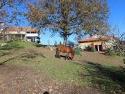 Prestigiosa casa de 300 m² à venda Seia, Guarda