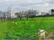 Prestigiosa casa de 319 m² à venda Albergaria a Velha,...