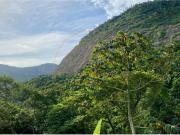 Casa de prestígio de 404 m² à venda Estrada do Joa, Rio...