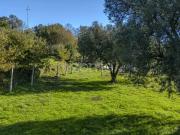 Casa de prestígio de 909 m² à venda Arcos de Valdevez,...