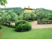 Prestigiosa tenuta con ampio parco piscina e vigneto in...