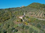 Prestigiosa villa di 14200 mq, Strada Provinciale di...