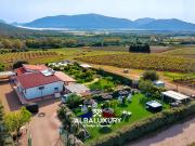 Prestigiosa villa di 150 mq in vendita, Alghero, Sardegna