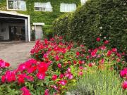 Prestigiosa villa di 170 mq in vendita, Via Fra'...