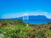 Prestigiosa villa di 315 mq in vendita Località Cala...