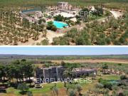 Prestigiosa villa di 3467 mq in vendita, Strada Comunale...