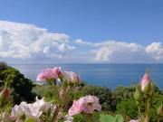 Prestigiosa villa di 420 mq in vendita, San Felice...