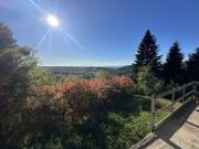 Prestigiosa villa di 443 mq in vendita Via Montagnola,...