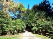 Prestigiosa villa di 480 mq in vendita San Cesario di...