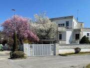 Prestigiosa villa di 648 mq in vendita Sanfrè, Piemonte