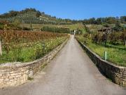 Prestigiosa villa di 71078 mq in vendita, Scanzo...