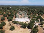 Prestigiosa villa di 720 mq in vendita Fasano, Italia