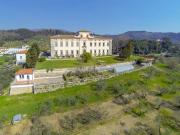 Prestigiosa villa di 7900 mq in vendita, Via Baronese,...