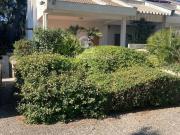 Prestigiosa villa in affitto Corso Alcide De Gasperi,...