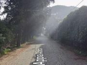 Prestigiosa villa in vendita Roma, Lazio