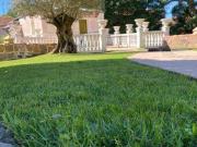 Prestigiosa villa di 292 mq in vendita, Varese, Italia