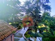Prestigiosa villa in vendita Via dei Pini, Marino, Roma,...