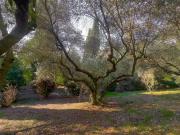 Prestigiosa villa in vendita Via della Marcigliana, 532,...