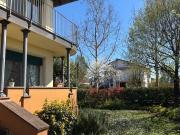 Prestigiosa villa in vendita Via Pietro Perfetti, 7,...