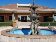 Prestigiosa villa in vendita Via Torre Del Padiglione...