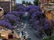 Prestigioso appartamento in vendita Cagliari, Sardegna