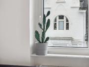 Pretty, beautiful loft in Wuppertal, Wuppertal Amsterdam...