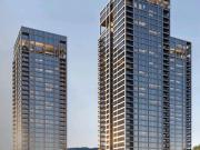 Preventa Bosque Real