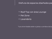 Preventa de lofts sobre av. Chapultepec
