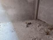 PREVENTA EN BOSQUES DE CUERNAVACA