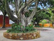 Preventa Lotes Residenciales en Zona Norte Cuernavaca,...