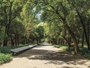 PREVENTA PENT HOUSE EN EL CORAZON DEL POLANCO