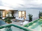 PREVENTA PROYECTO ARTIGAS: VILLA AHUEHUETES