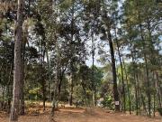 Preventa terrenos y casas en fraccionamiento privado,...