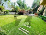 Primary Locations Beautiful House For Rent