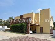 Primaveras en Rancho San Juan