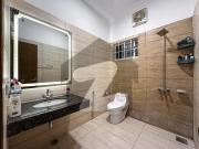 Prime 14 Marla Designer Corner House In Ideal Location...